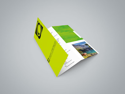 Gráficas CONTINUOS ALICANTE